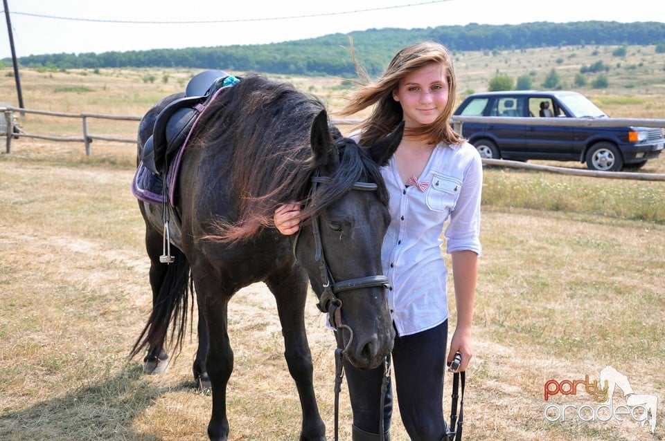 Concerte la Campionatul European de Rodeo, Băile Felix