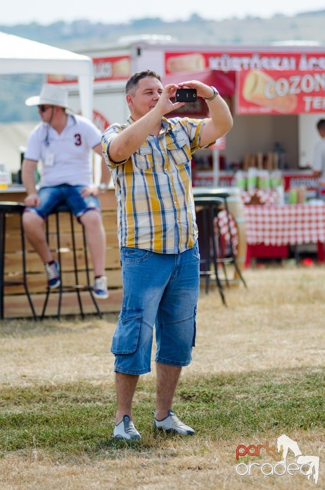 Concerte la Campionatul European de Rodeo, Băile Felix