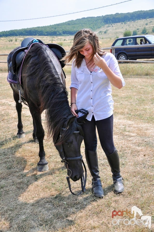 Concerte la Campionatul European de Rodeo, Băile Felix