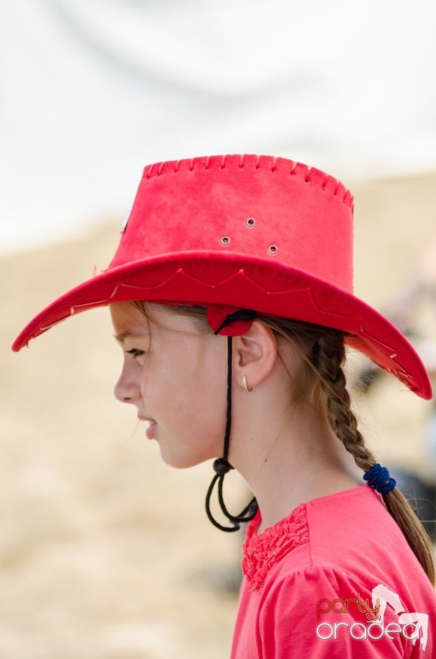 Concerte la Campionatul European de Rodeo, Băile Felix