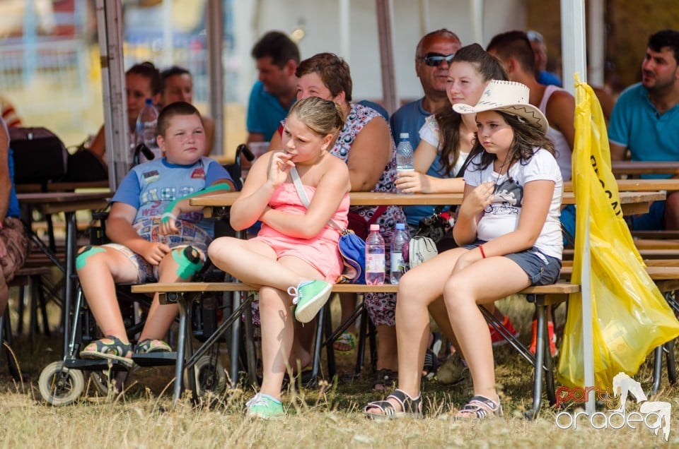 Concerte la Campionatul European de Rodeo, Băile Felix