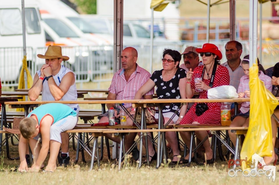 Concerte la Campionatul European de Rodeo, Băile Felix