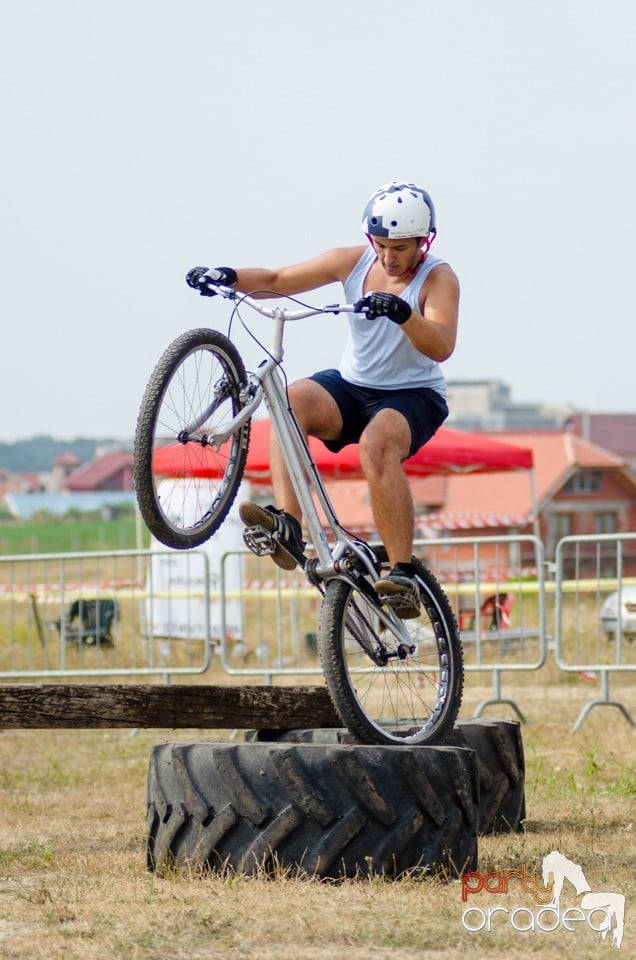 Concerte la Campionatul European de Rodeo, Băile Felix