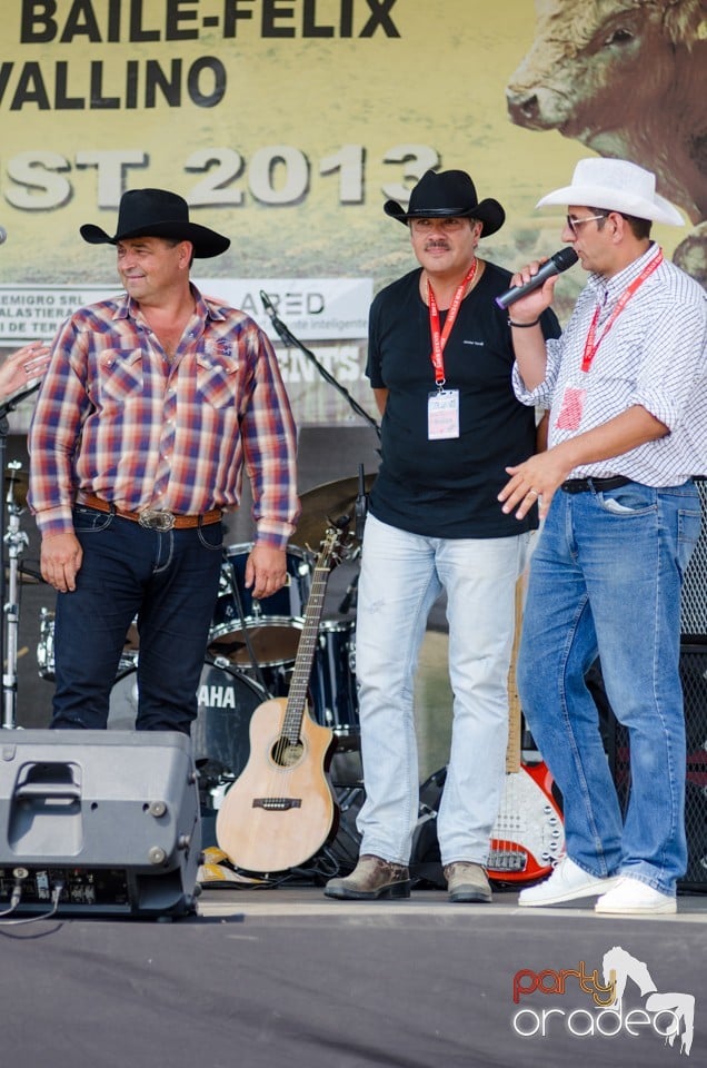 Concerte la Campionatul European de Rodeo, Băile Felix