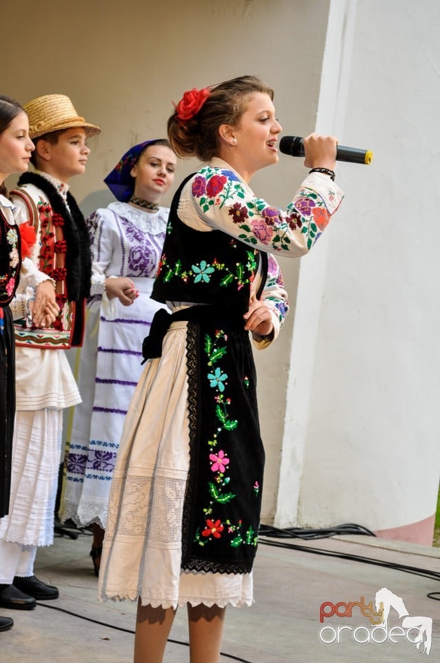 Concerte in parcul Balcescu, Oradea