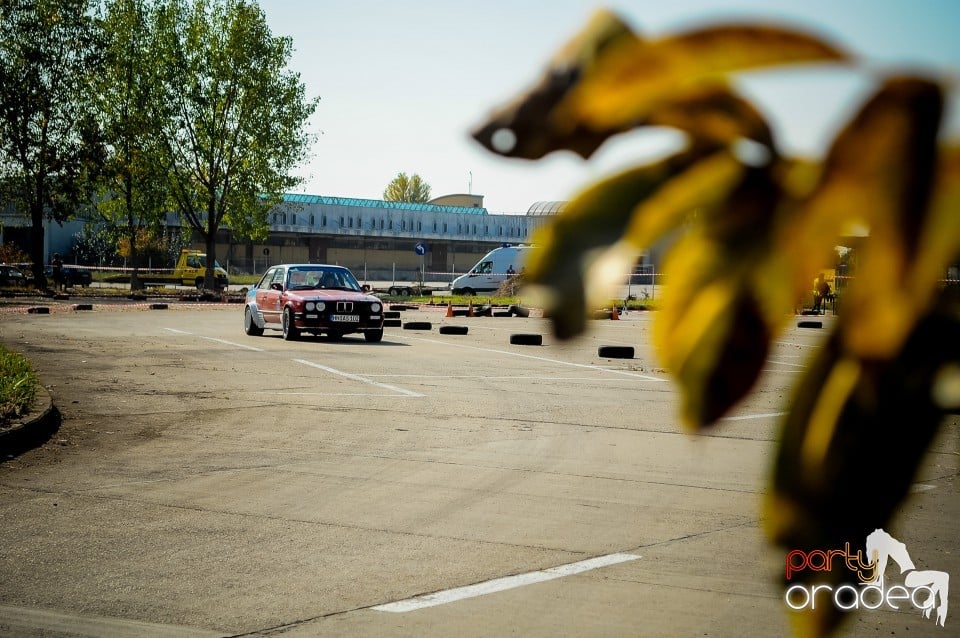 Concurs auto, Oradea