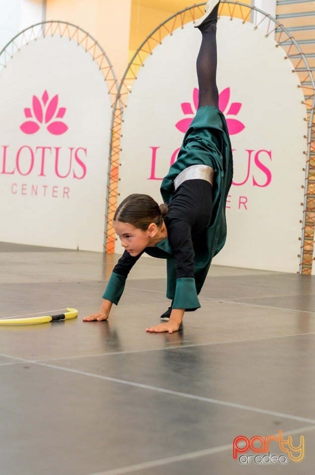 Concurs de creaţie, Lotus Center