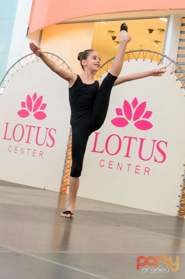 Concurs de creaţie, Lotus Center