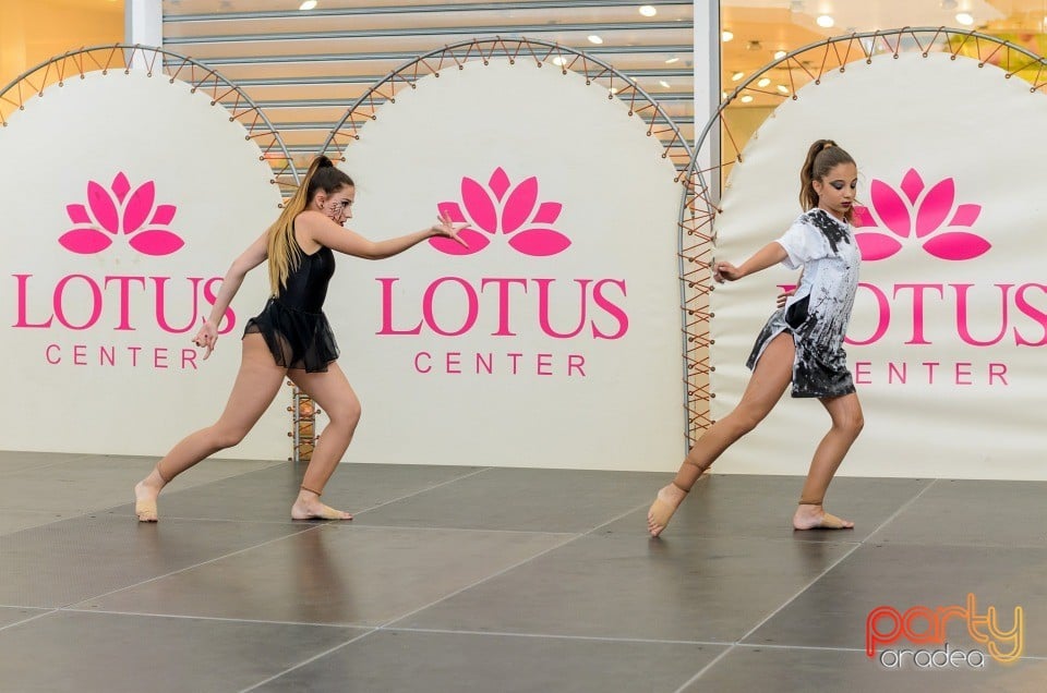 Concurs de creaţie, Lotus Center