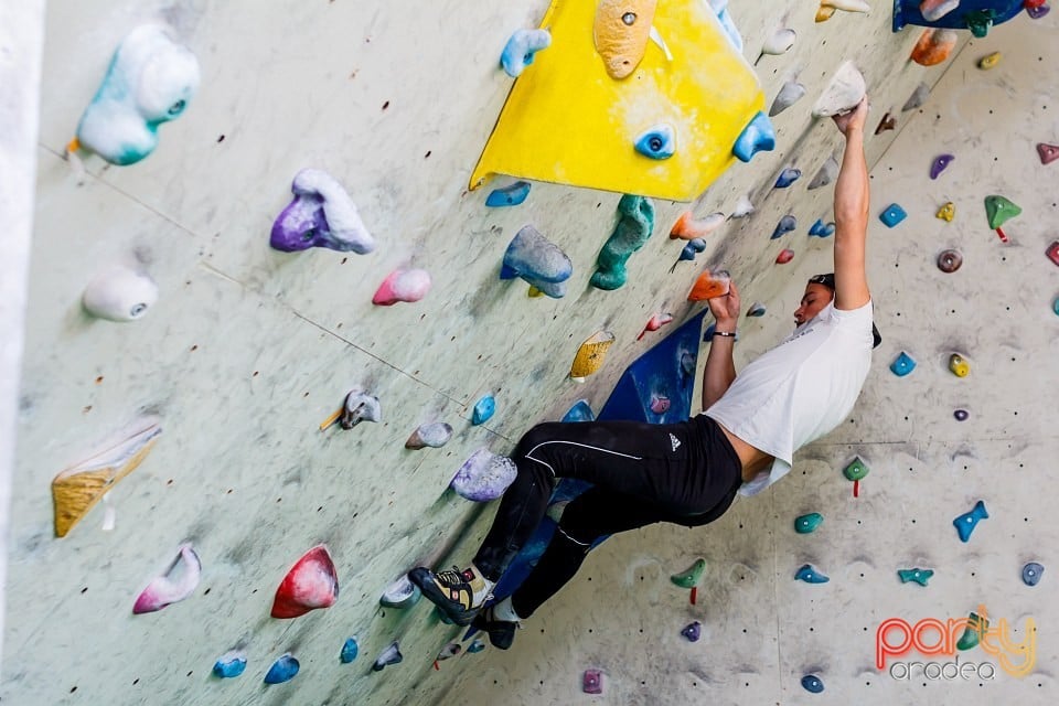 Concurs de escaladă, Sala de escalada GeckoClimb