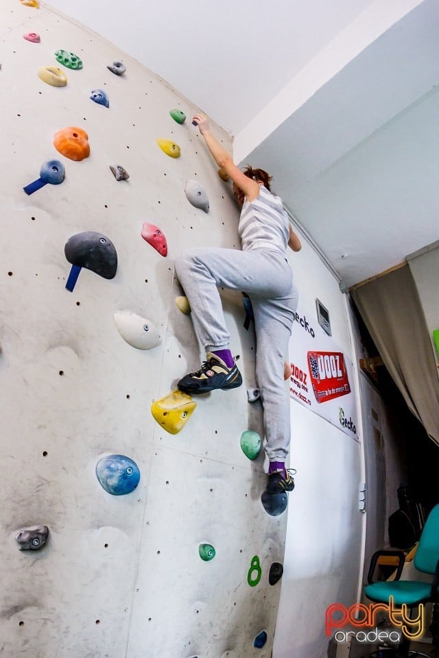 Concurs de escaladă, Sala de escalada GeckoClimb