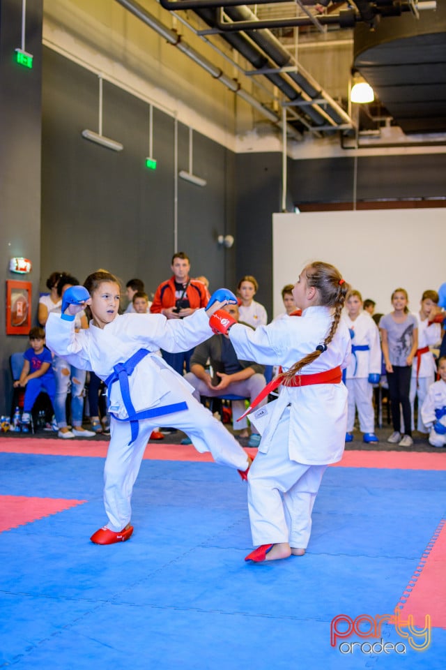 Concurs de Karate, Era Shopping Park