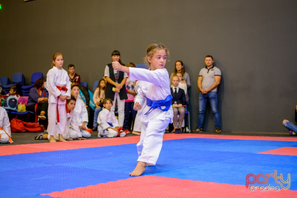 Concurs de Karate, Era Shopping Park