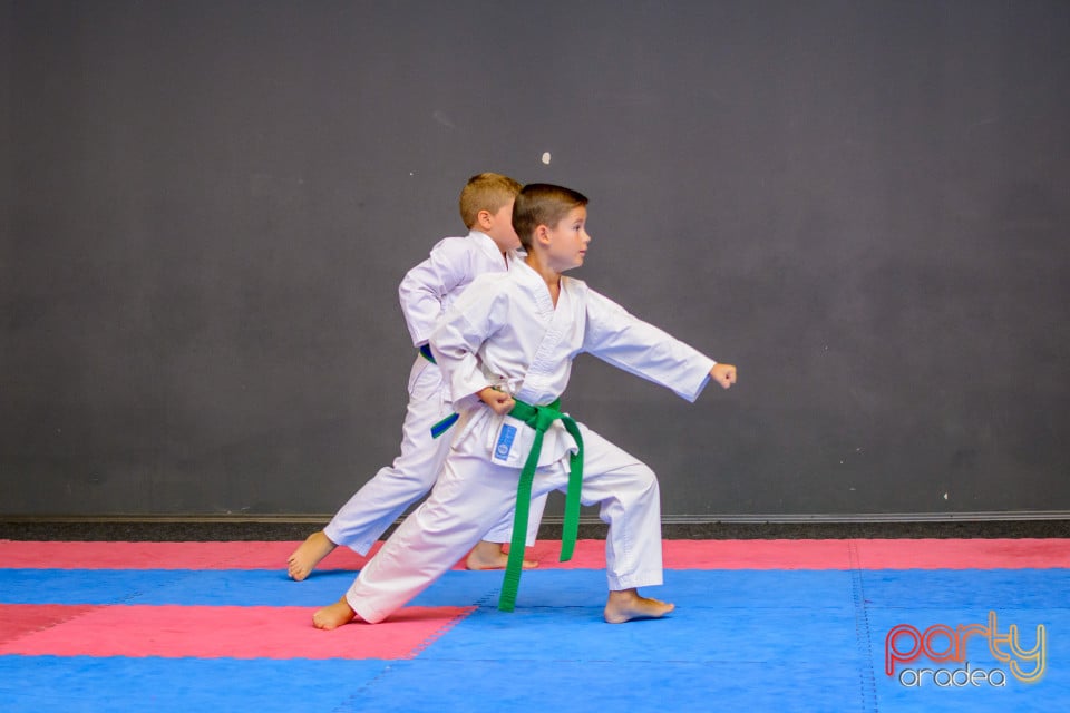 Concurs de Karate, Era Shopping Park