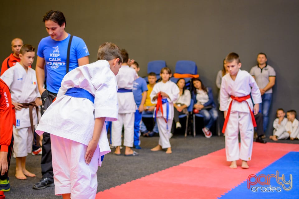 Concurs de Karate, Era Shopping Park