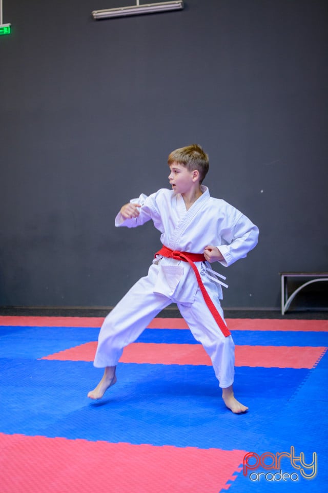 Concurs de Karate, Era Shopping Park