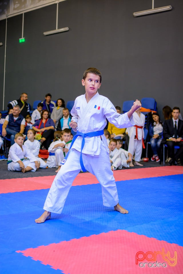 Concurs de Karate, Era Shopping Park