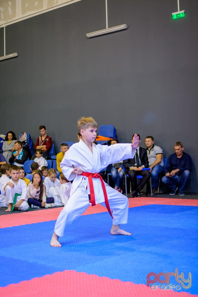 Concurs de Karate, Era Shopping Park