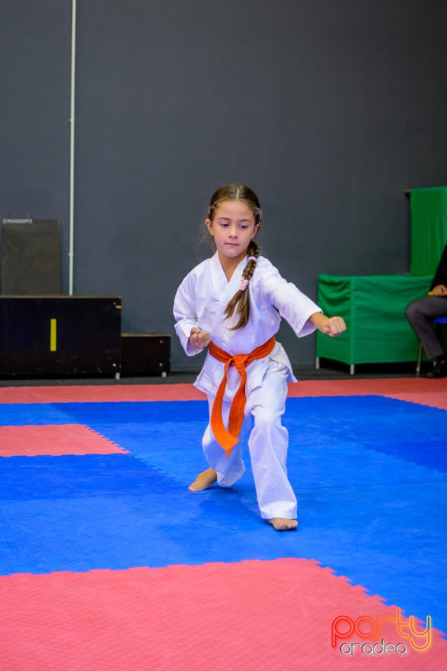 Concurs de Karate, Era Shopping Park