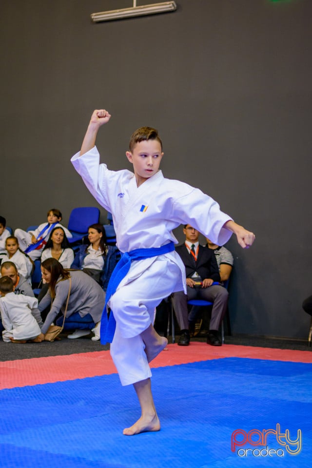 Concurs de Karate, Era Shopping Park