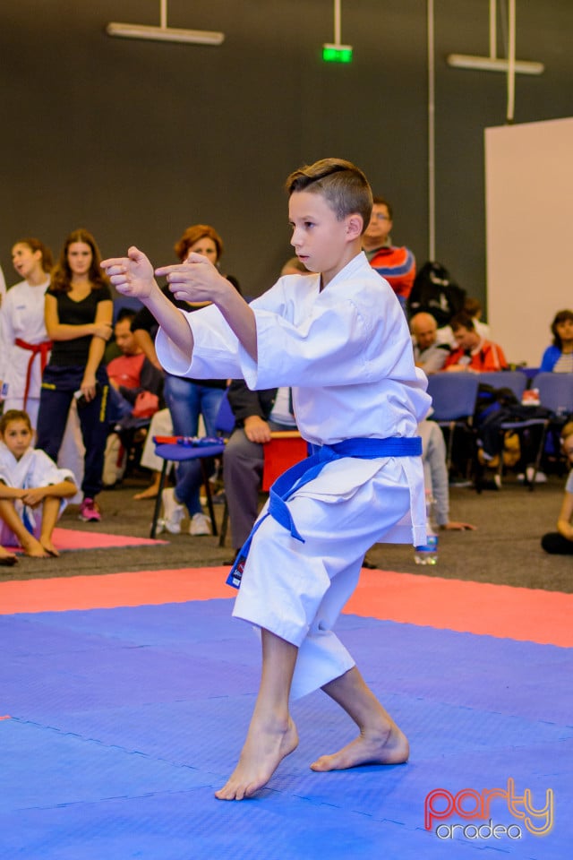 Concurs de Karate, Era Shopping Park