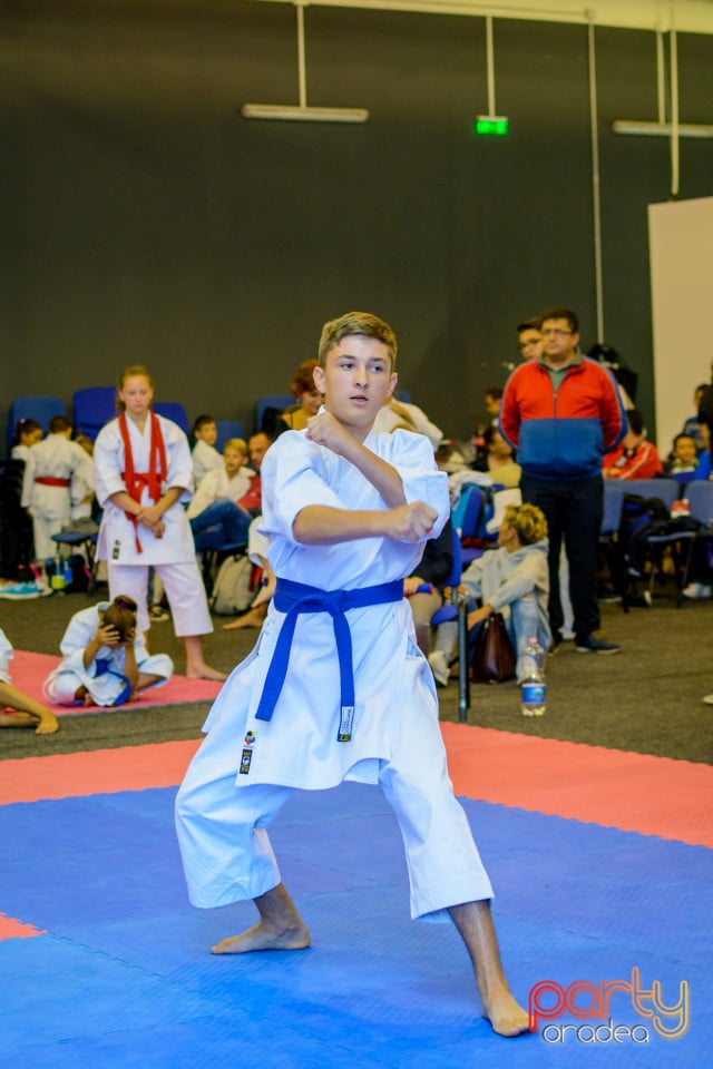 Concurs de Karate, Era Shopping Park