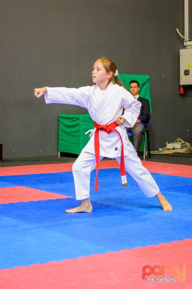 Concurs de Karate, Era Shopping Park