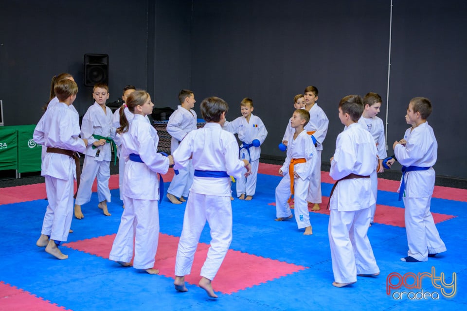 Concurs de Karate, Era Shopping Park