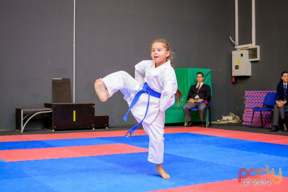 Concurs de Karate, Era Shopping Park