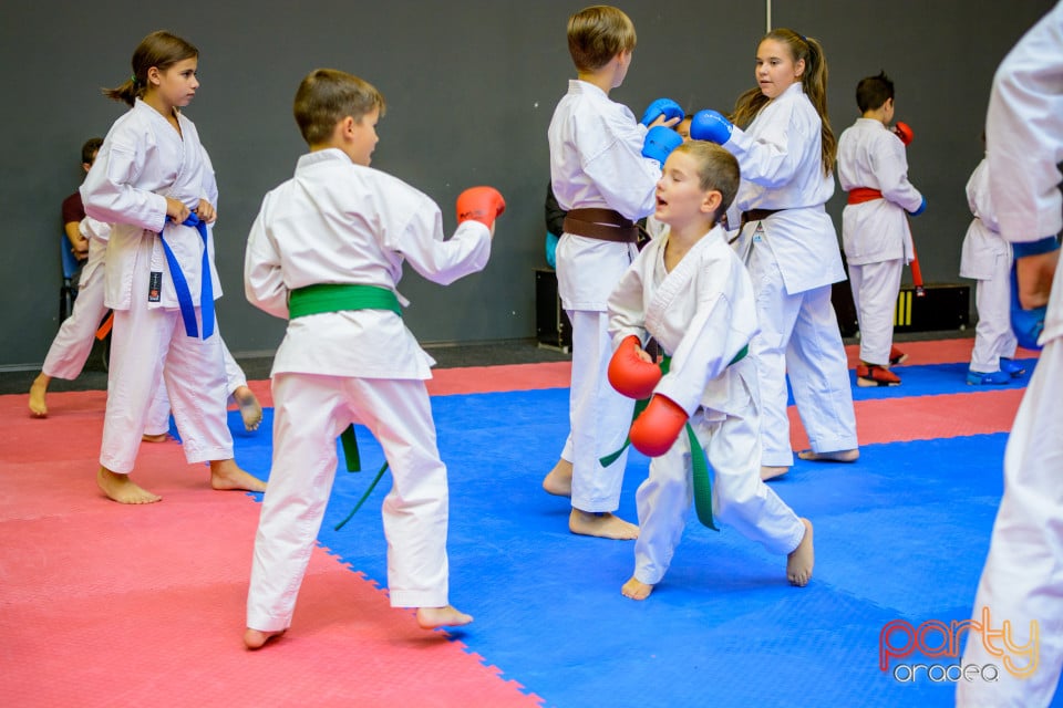 Concurs de Karate, Era Shopping Park