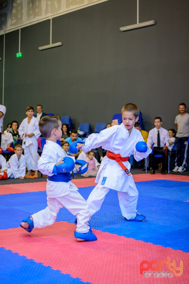 Concurs de Karate, Era Shopping Park