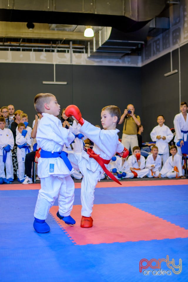 Concurs de Karate, Era Shopping Park