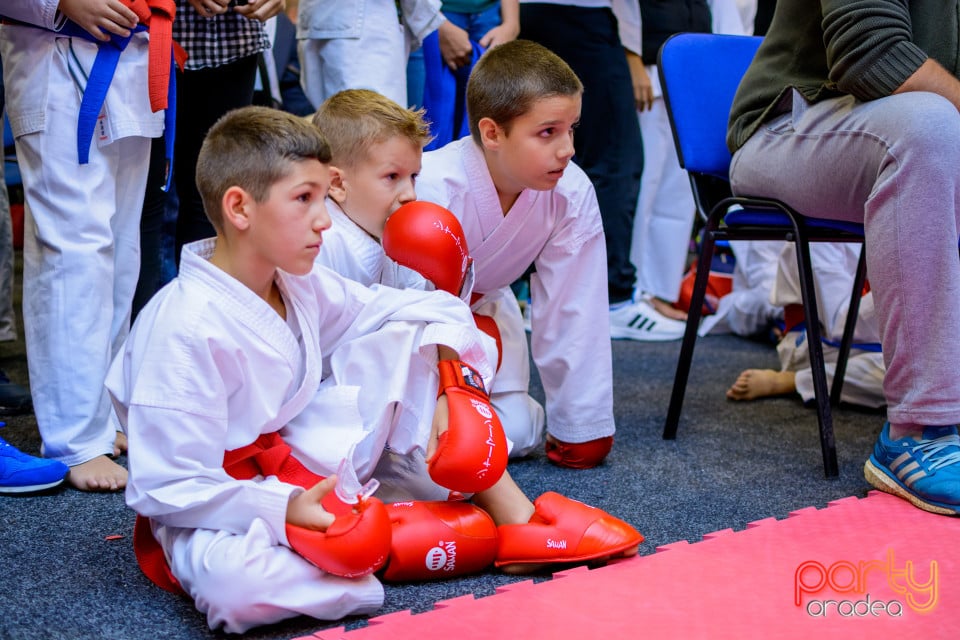 Concurs de Karate, Era Shopping Park