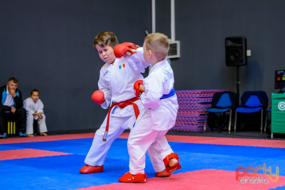 Concurs de Karate, Era Shopping Park