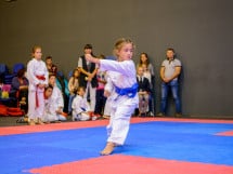 Concurs de Karate