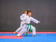 Concurs de Karate