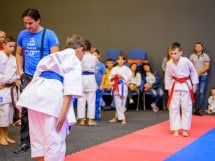 Concurs de Karate