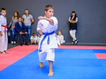 Concurs de Karate