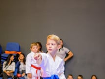 Concurs de Karate
