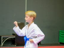 Concurs de Karate