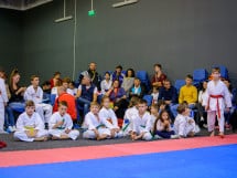 Concurs de Karate