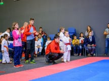 Concurs de Karate