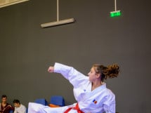 Concurs de Karate