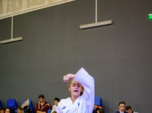 Concurs de Karate