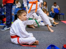 Concurs de Karate