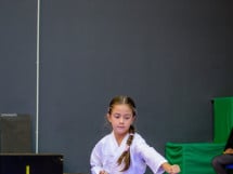 Concurs de Karate