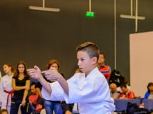 Concurs de Karate