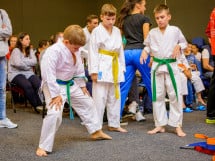 Concurs de Karate