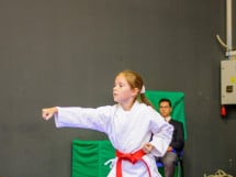 Concurs de Karate