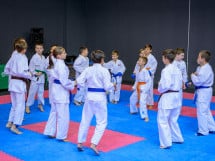 Concurs de Karate